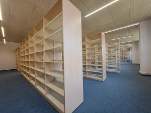 20250411_130737_resized