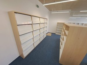 20250411_131225_resized